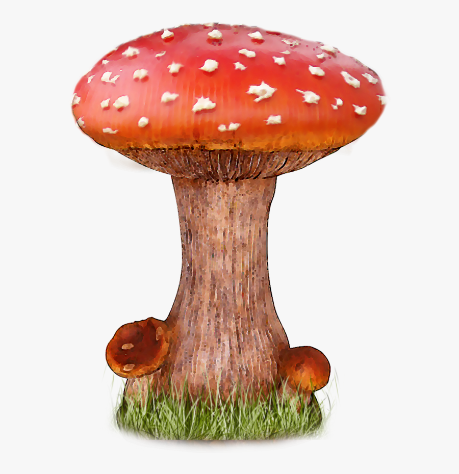 Mushroom Png Clipart - Mushroom Png Hd, Transparent Clipart