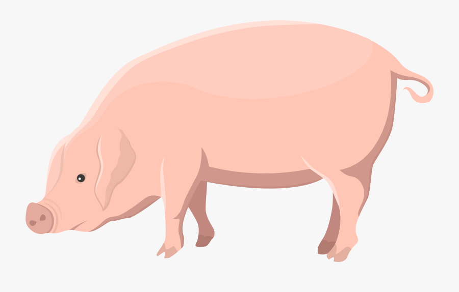Pig Transparent Clip Art Image - Domestic Pig, Transparent Clipart