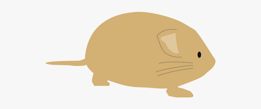 Reptile, Transparent Clipart