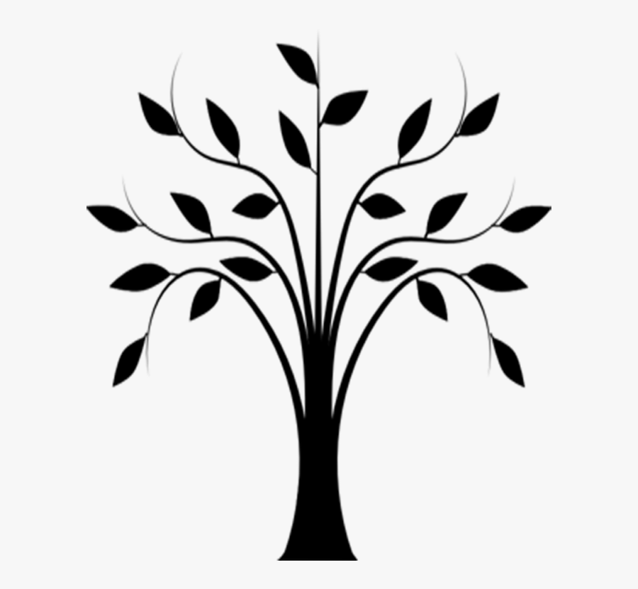Line Drawing Of Tree - Tree Clipart Png Black And White, Transparent Clipart