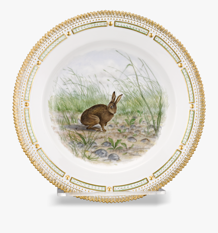 Transparent Dinner Plate Clipart - Swamp Rabbit, Transparent Clipart
