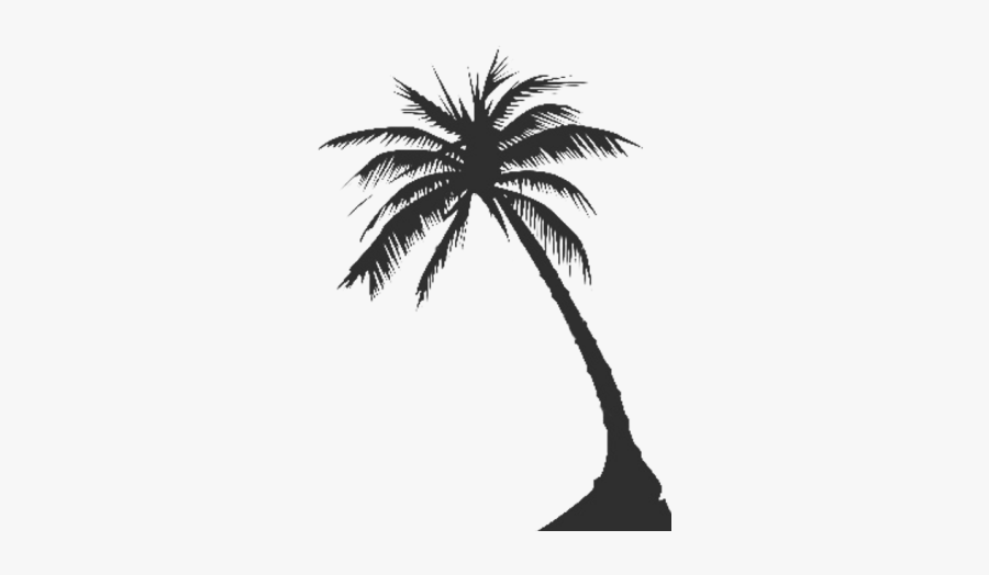 Palm Tree Clipart Transparent Background - White Palm Tree Silhouette Png, Transparent Clipart