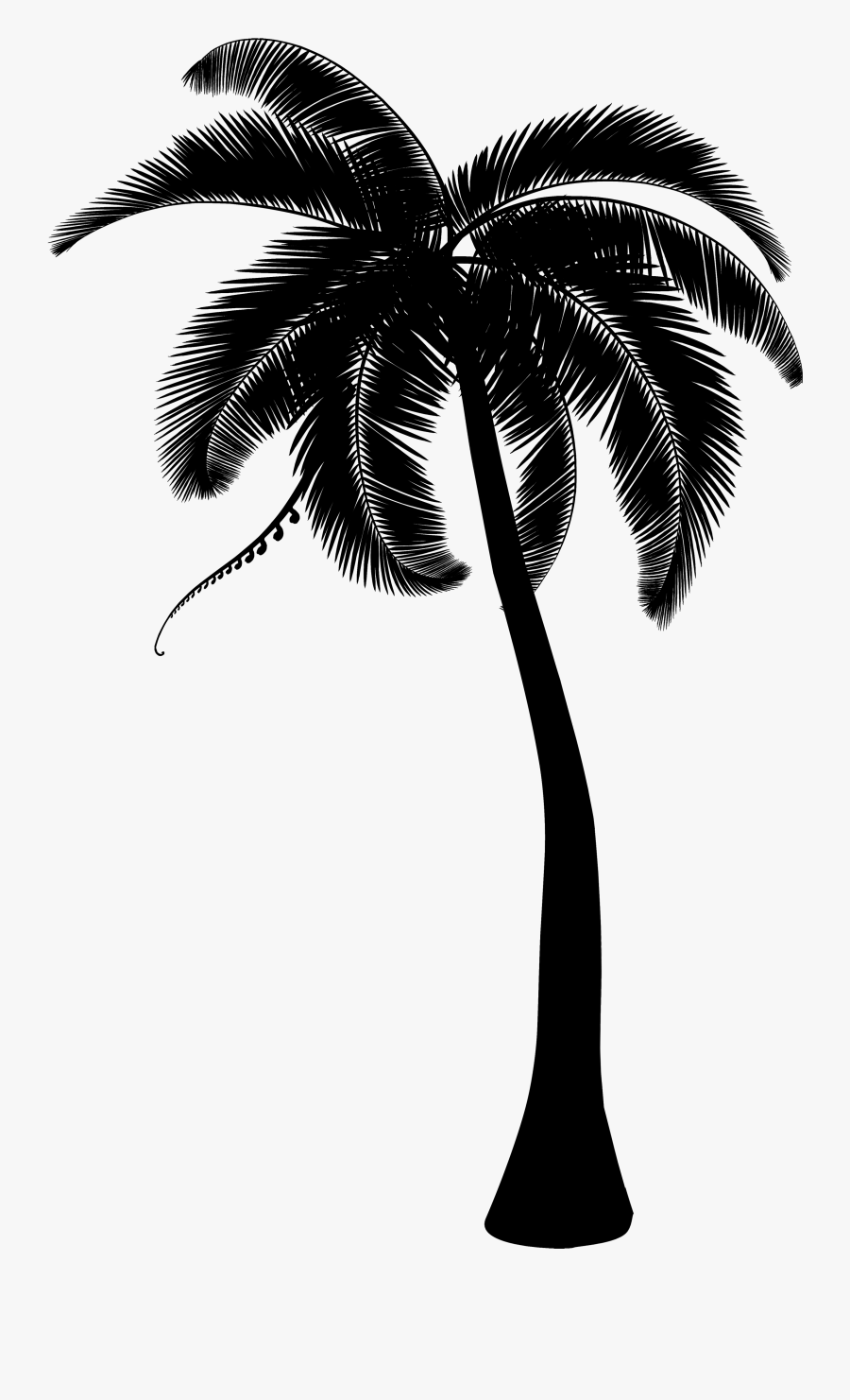 Palm Trees Coconut Clip Art Portable Network Graphics - Transparent Background Coconut Tree Clipart Png, Transparent Clipart