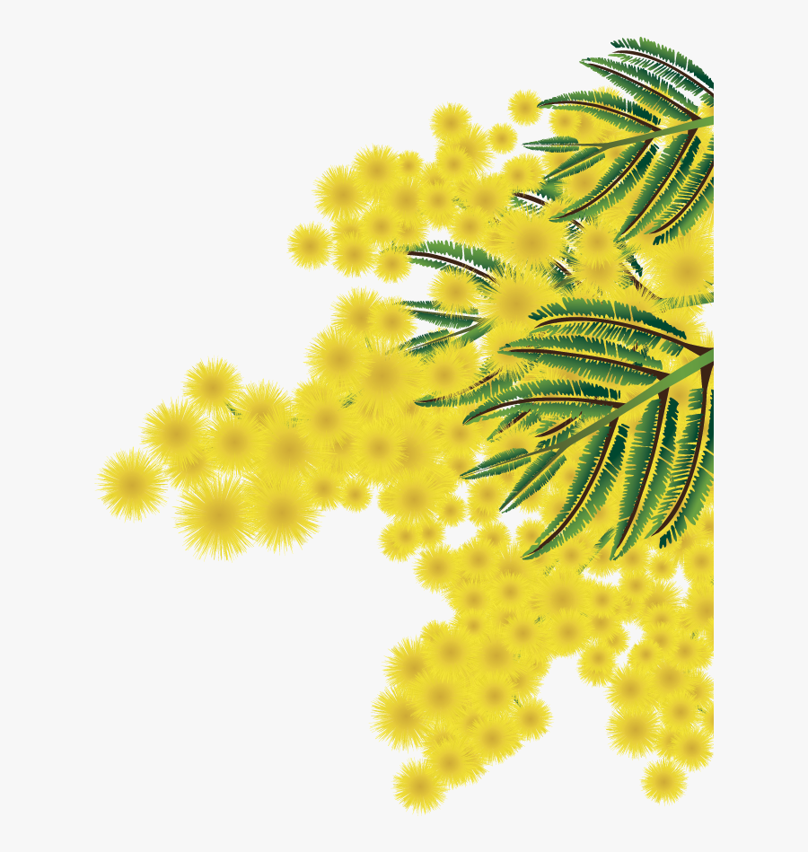 Albero Mimosa Png - Portable Network Graphics, Transparent Clipart