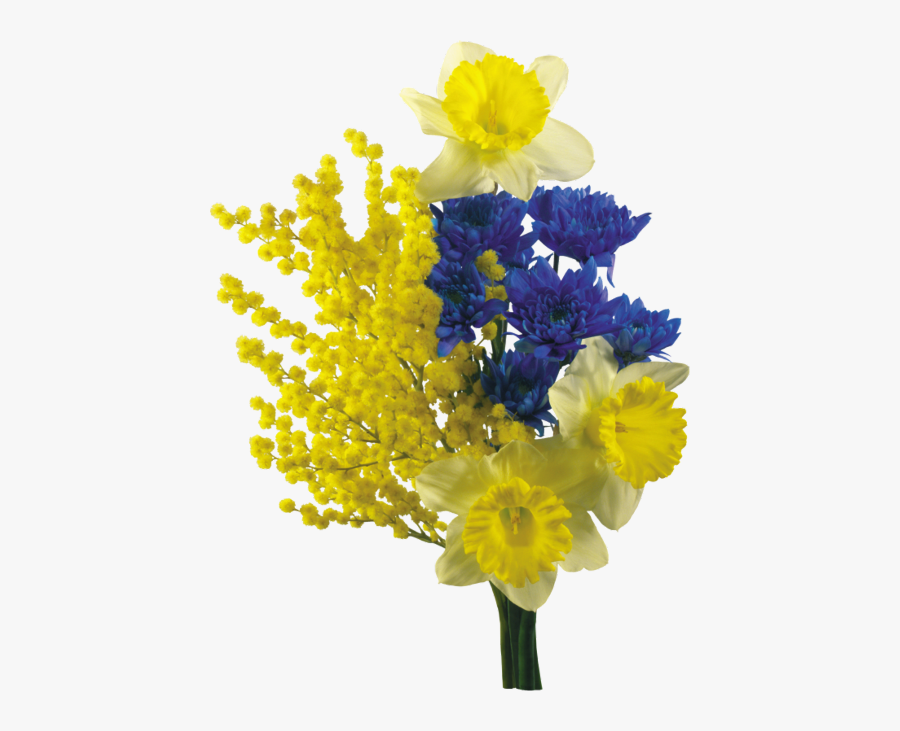 Cuorelucymy Mialu Corner Mimosa Lucymy Freetoedit - Sensitive Flower, Transparent Clipart