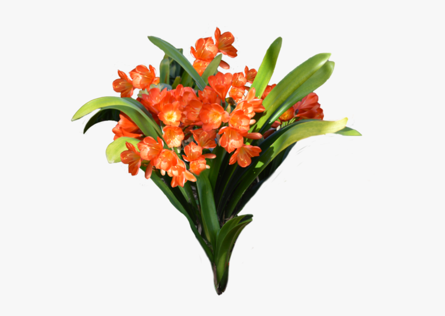 Vector Clipart Psd Peoplepng - Flower Bucket Image Png, Transparent Clipart