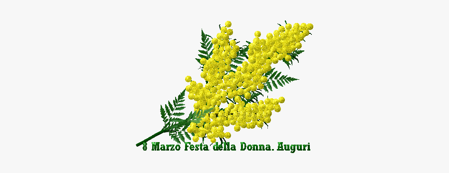 Mimosa Freetoedit - Gif Festa Delle Donne, Transparent Clipart