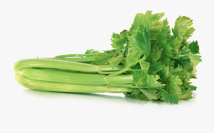 Celery Transparent Png - Green Colour Vegetables Name, Transparent Clipart