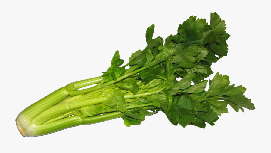 Png Image Purepng Free - Benefits Of Celery In The Body, Transparent Clipart