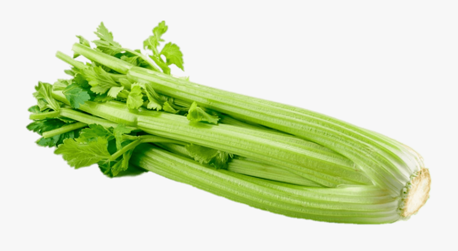 Celery Png Clipart , Png Download - Celery Png, Transparent Clipart