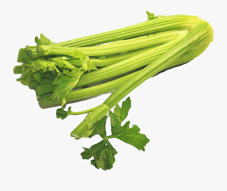 Celery Png Image - Celery Png, Transparent Clipart