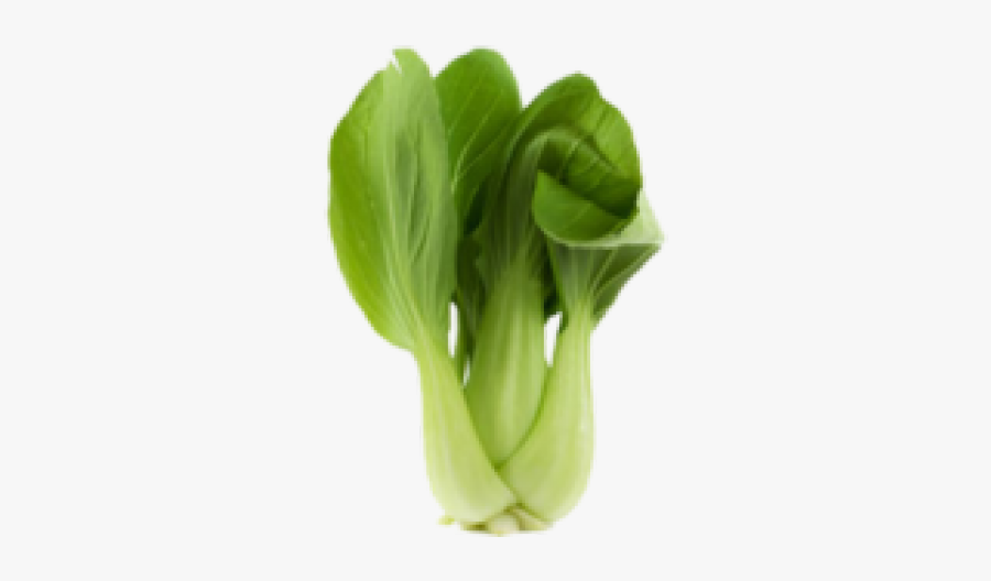 Bok Choy Clipart Celery - Bok Choy Transparent Background, Transparent Clipart