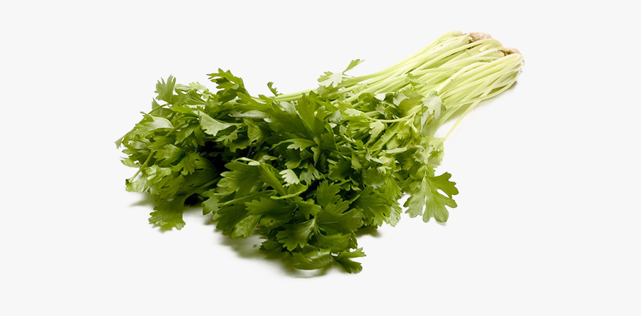 Celery Png Transparent Image - List Of Vegetables In Cambodia, Transparent Clipart