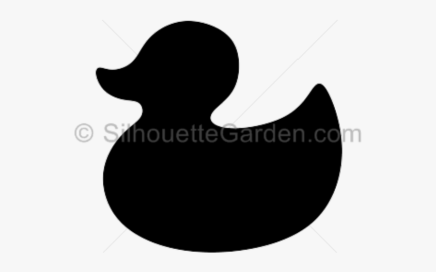Duck, Transparent Clipart