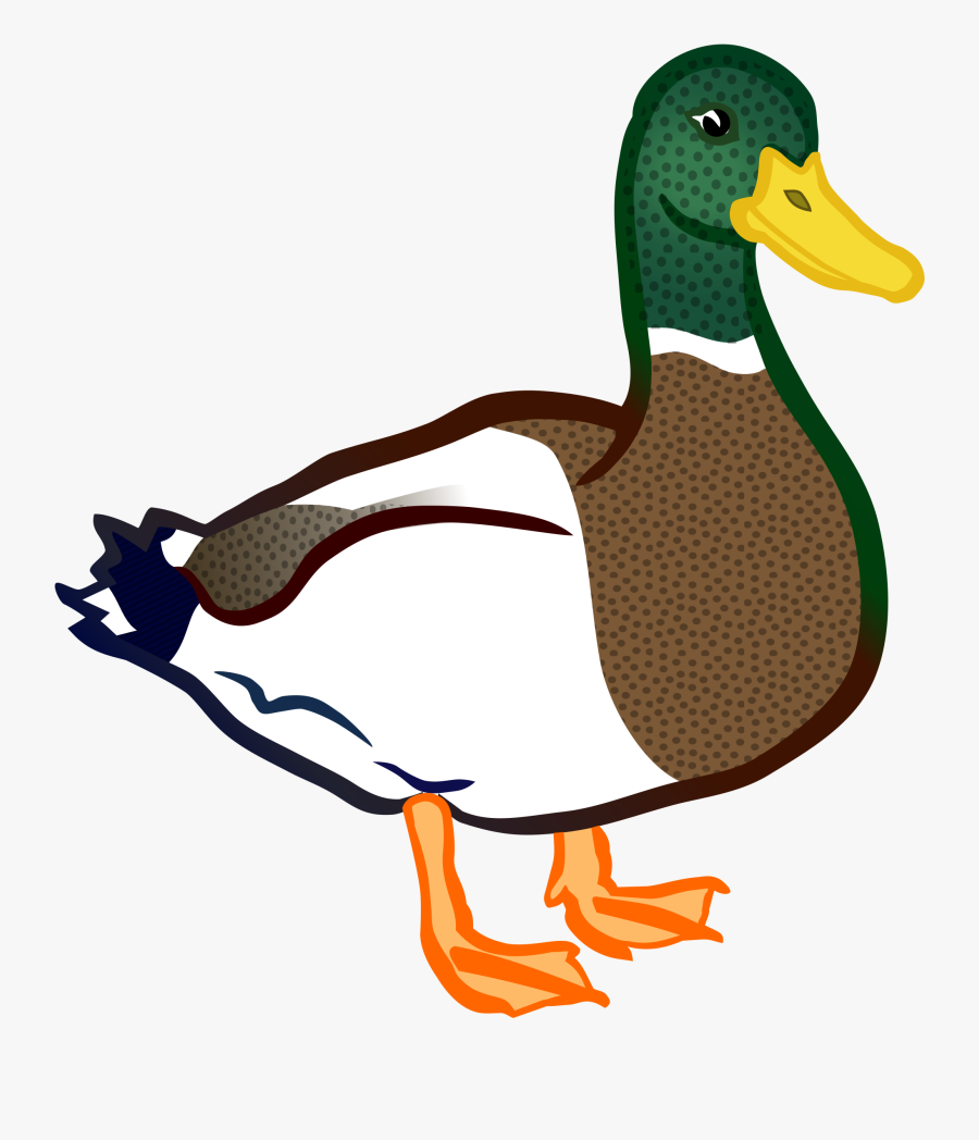 Duck Clipart Clip Art - Duck Clipart, Transparent Clipart