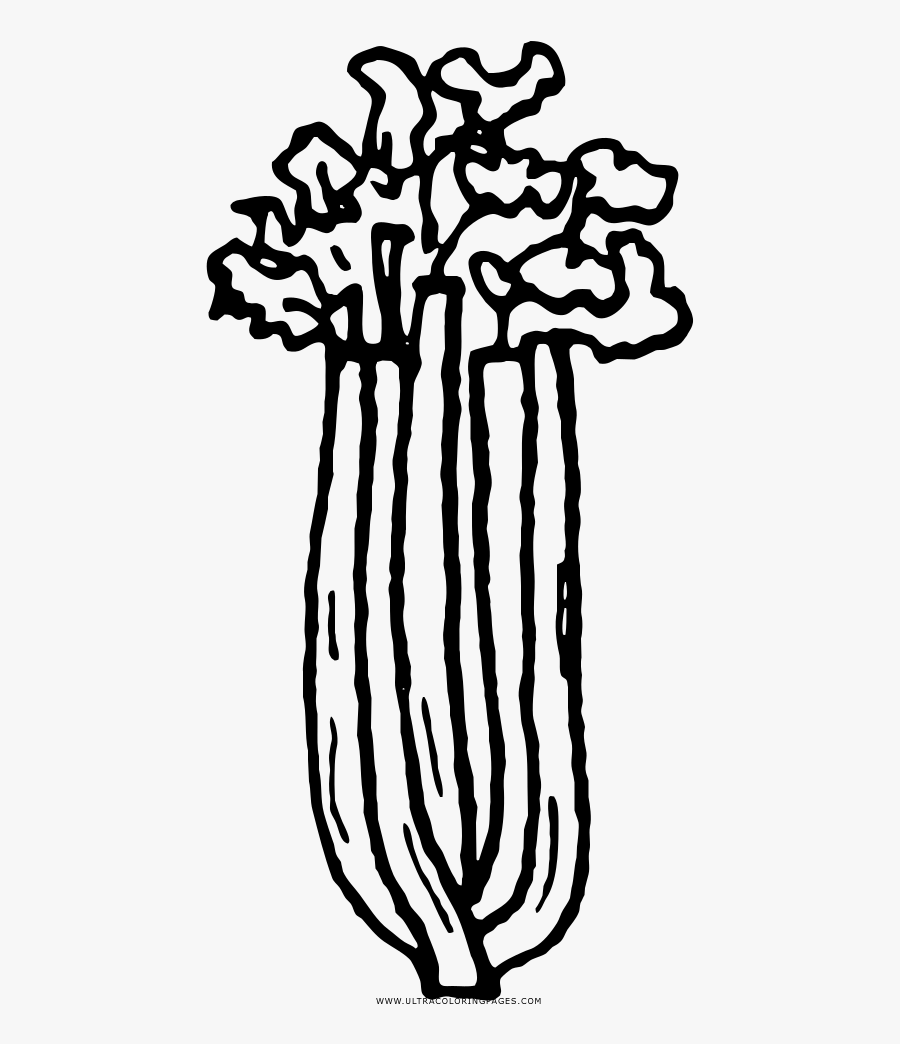 Celery Coloring Page - Celery Coloring Clipart, Transparent Clipart