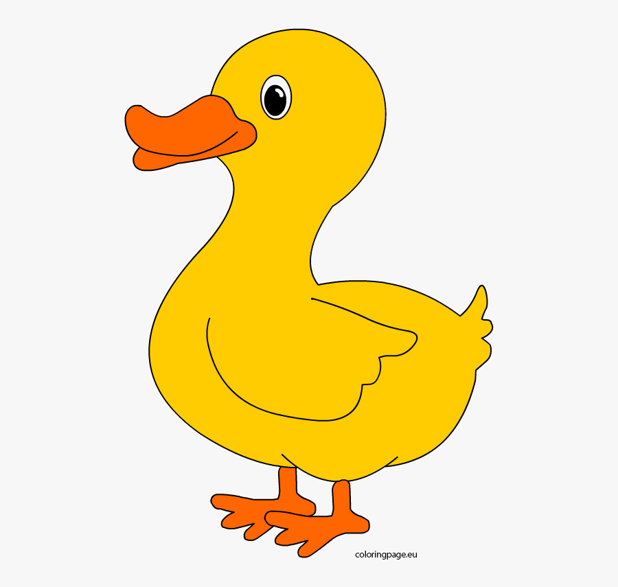 Transparent Free Duck Clipart - Desenhos De Pato Na Lagoa, Transparent Clipart