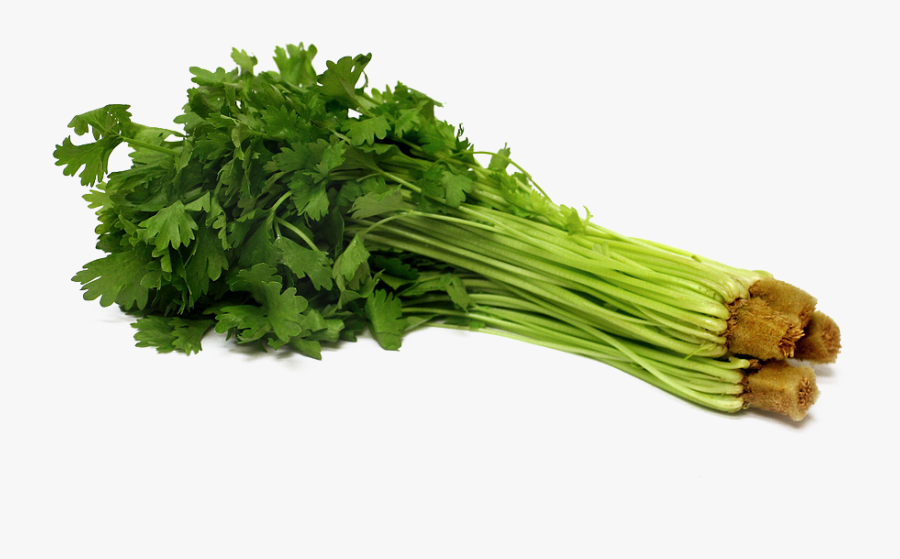 Celery Png Pic - Celery Png, Transparent Clipart