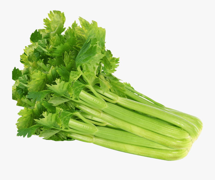 Featured image of post Clipart Celery Images Edit and share any of these stunning celery clipart