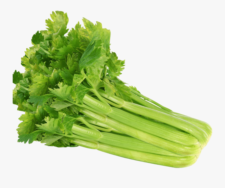 Celery Clipart Piece - Celery Png, Transparent Clipart