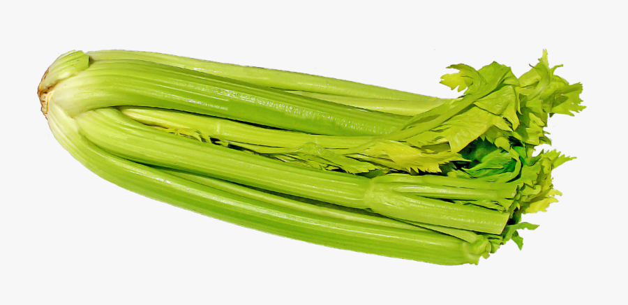 Celery Vegetables Vegetable Png Image - Selleriesaft Wirkung, Transparent Clipart