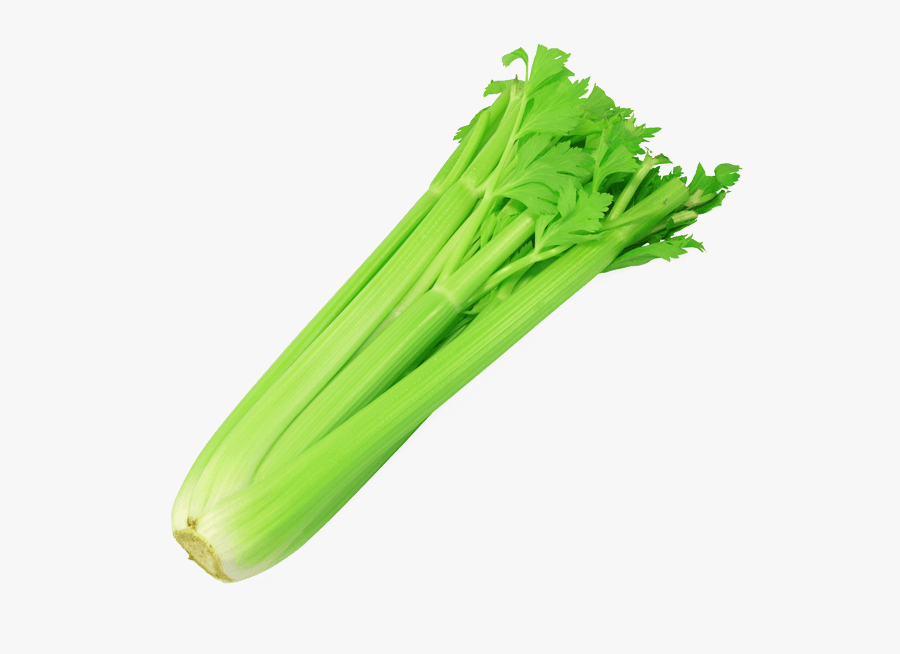 House Of Juice Bar Clipart Freeuse Download - Clipart Celery, Transparent Clipart