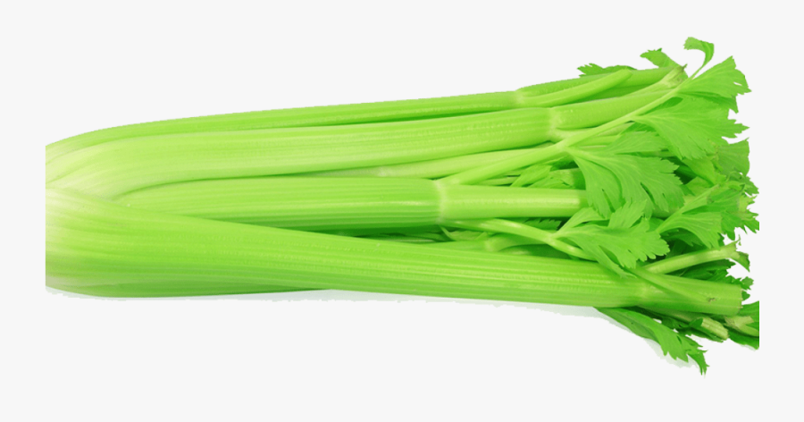Celery Leaves In Telugu, Transparent Clipart