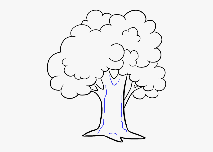 How To Draw A Tree - - Tree Pictures For Drawing, Transparent Clipart