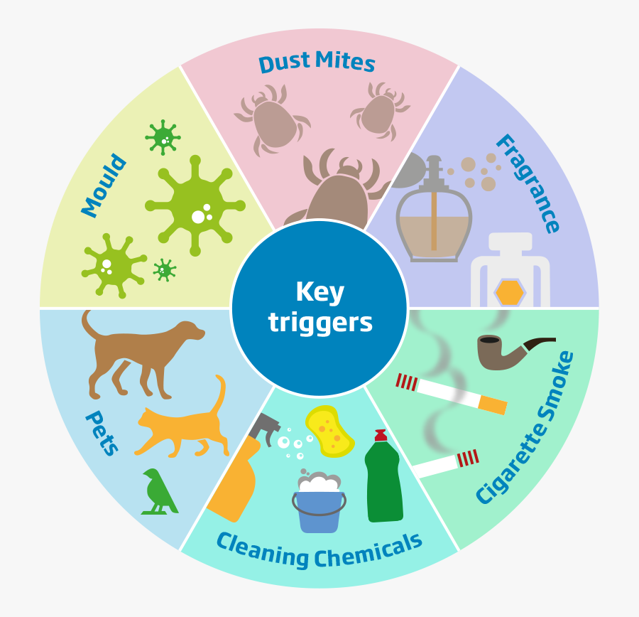 Transparent Coughing Png - Key Triggers Of Asthma, Transparent Clipart