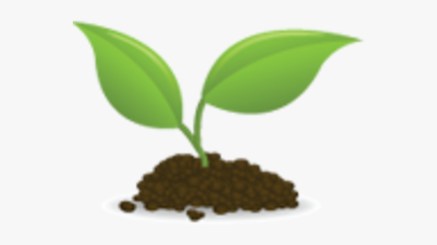 Seedling Clipart Png , Free Transparent Clipart - ClipartKey