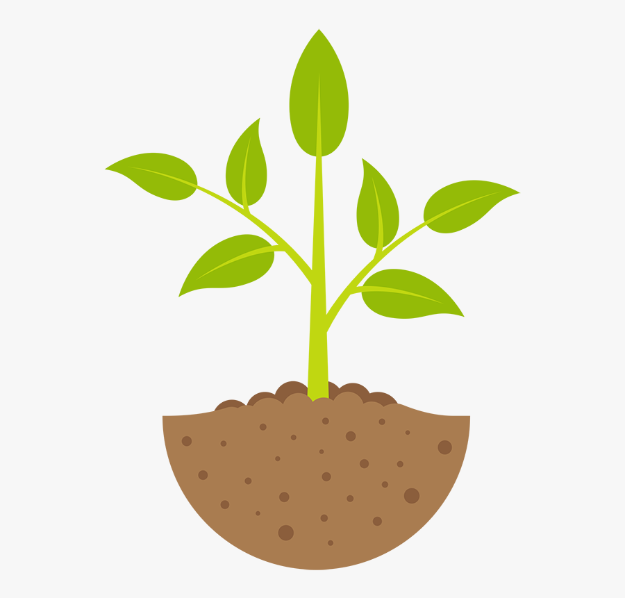 Treatment Program Second Chances - Plant Growing 4 Stages, Transparent Clipart
