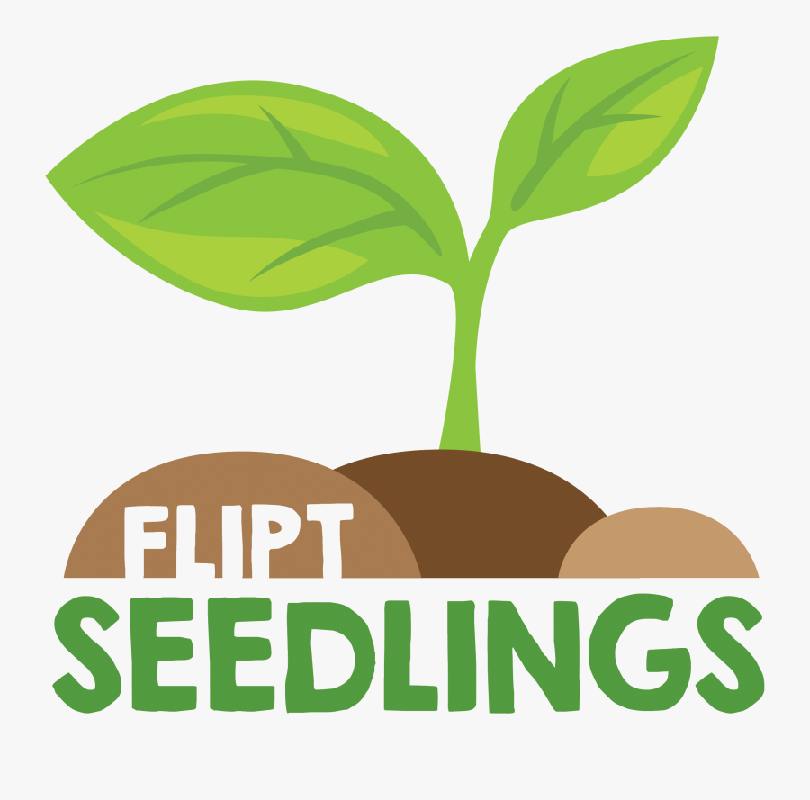 Null Seedlings Logo- - Logo Seedling, Transparent Clipart