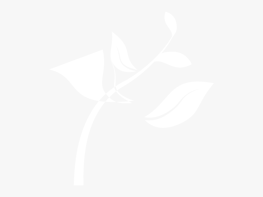 White Seedling Png, Transparent Clipart