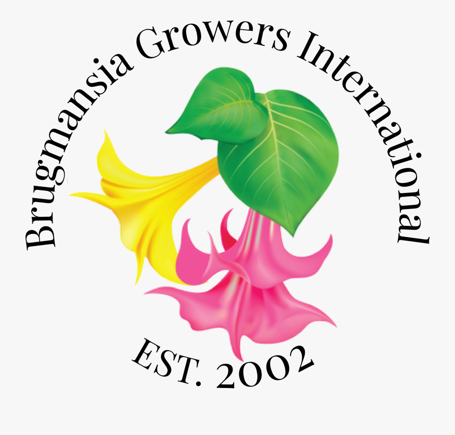 Tips For Growing Healthy - Graphic Design, Transparent Clipart