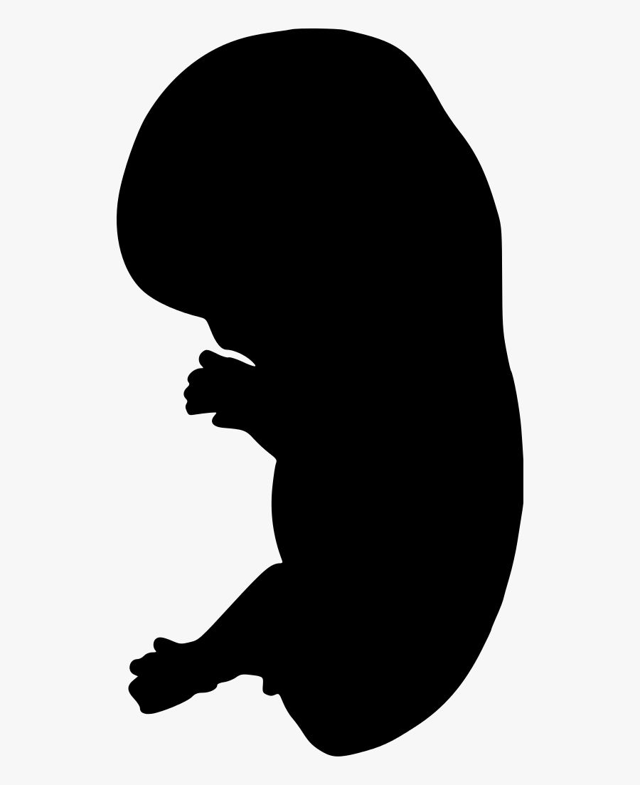 Embryo Silhouette Clip Art - Embryo Silhouette, Transparent Clipart