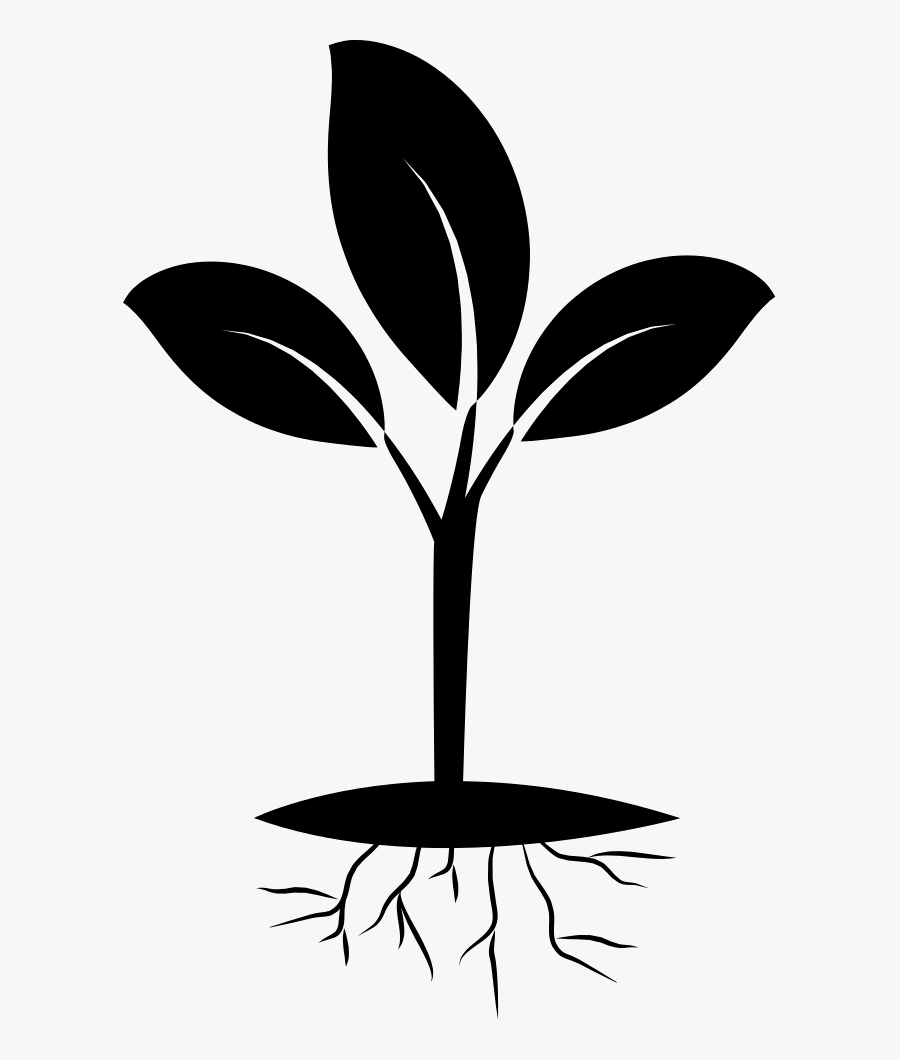 Free Plant Roots Png - Seedling Clipart Black And White, Transparent Clipart