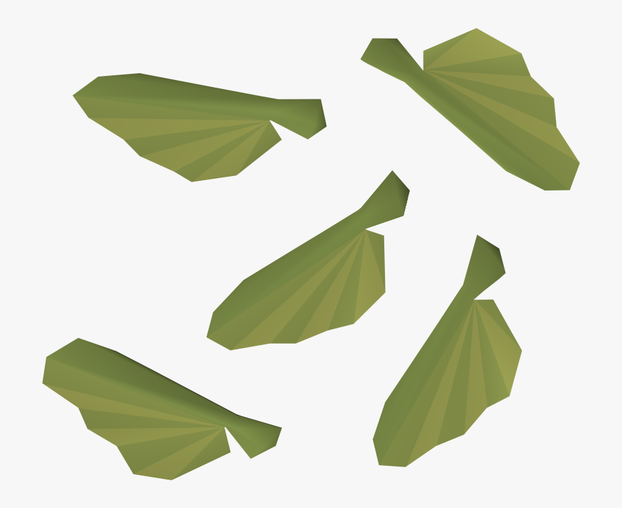 The Runescape Wiki - Osrs Maple Seed, Transparent Clipart