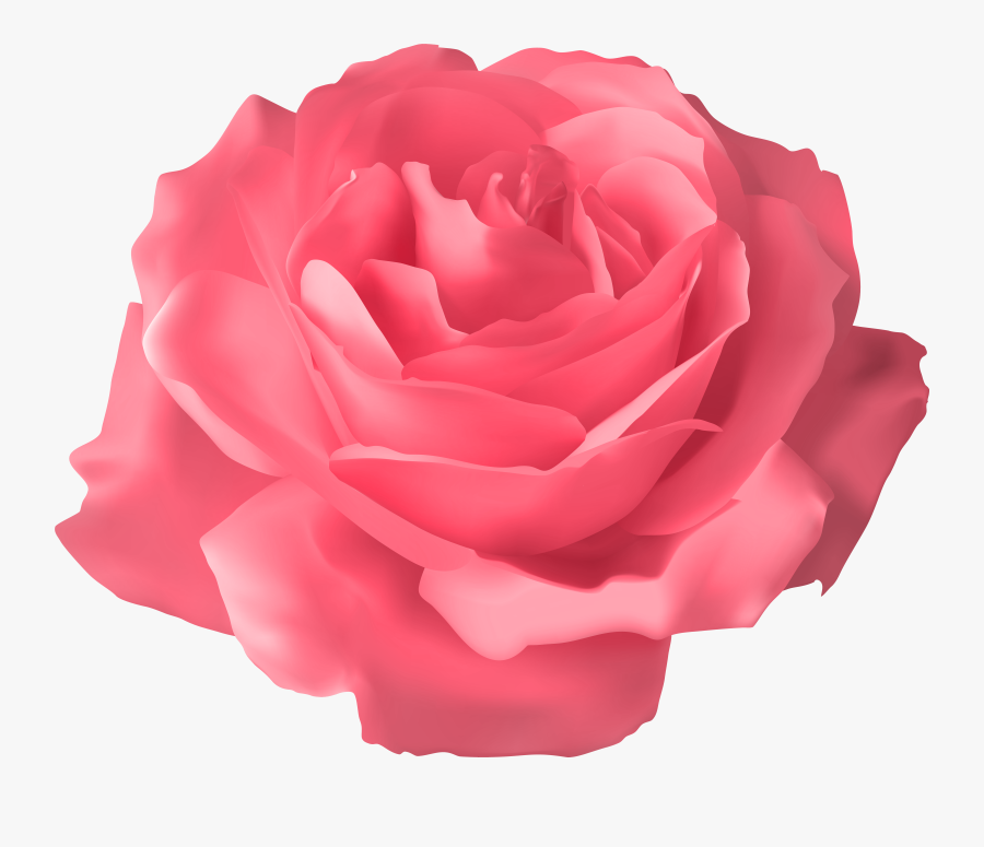 Seedling Clipart, Transparent Clipart