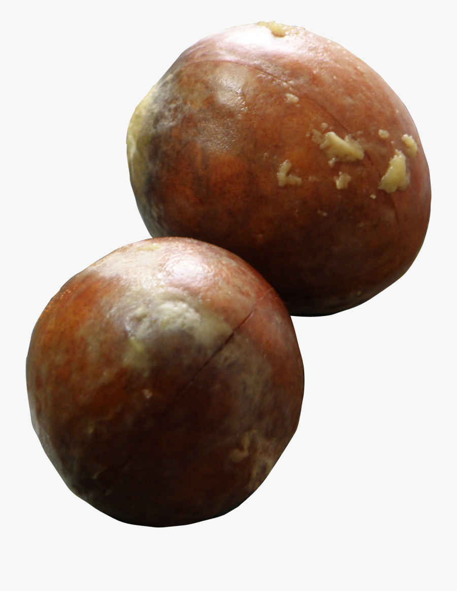 Avocado Seed Png, Transparent Clipart