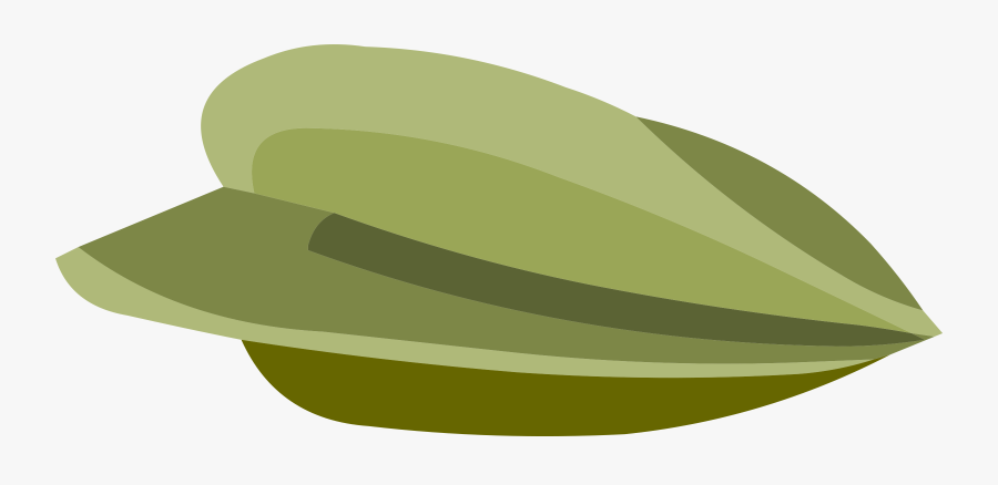 Misc Starfruit Seed Clip Arts, Transparent Clipart