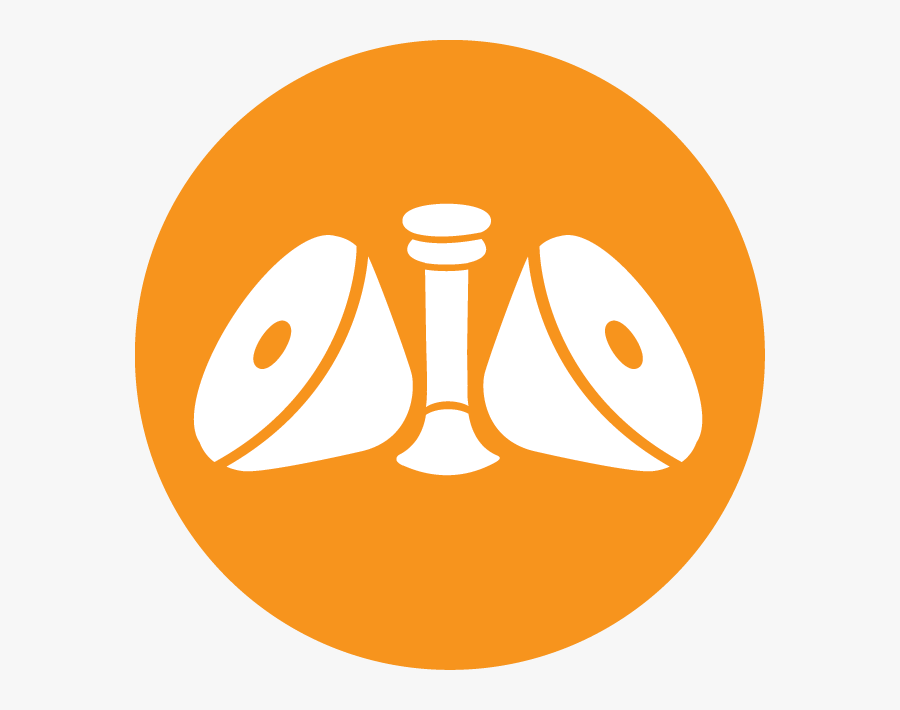 Transparent Men"s Breakfast Clipart - Circle, Transparent Clipart