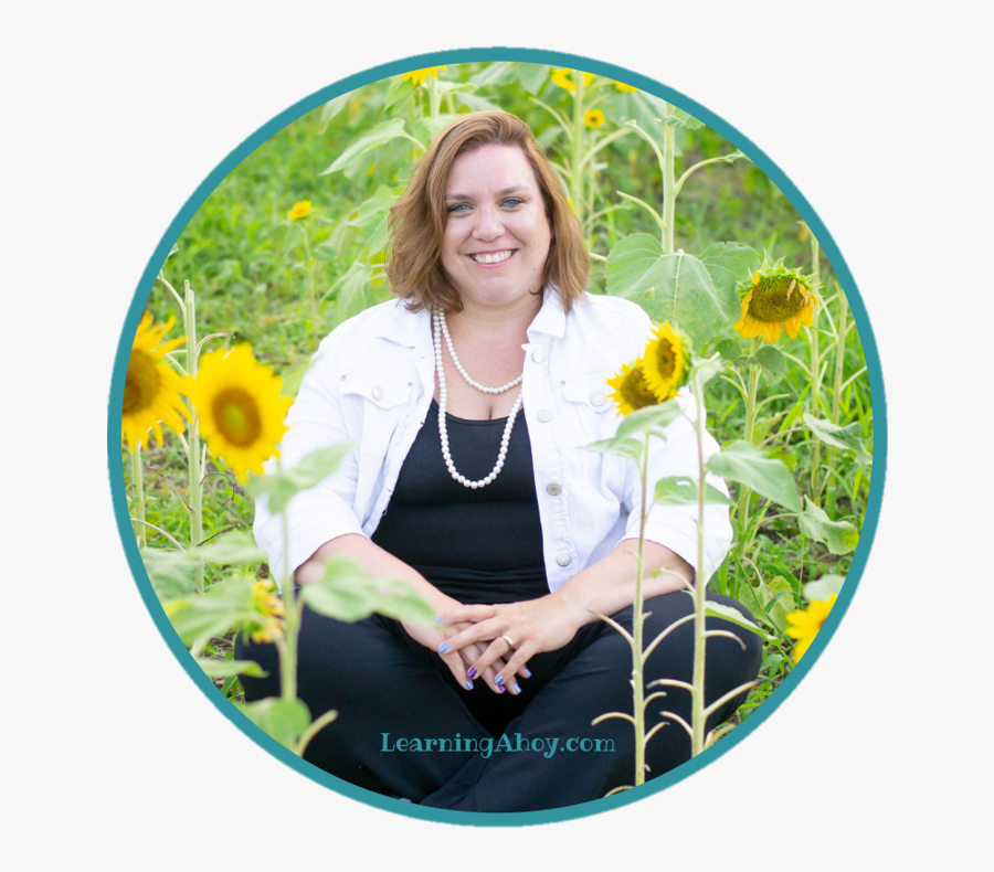 Sunflower, Transparent Clipart