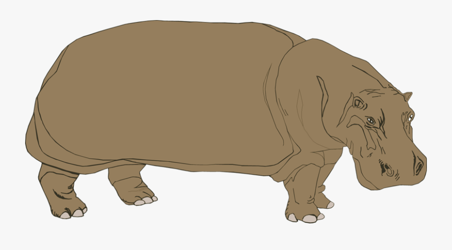 Hippopotamus Clipart - Hippopotamus, Transparent Clipart