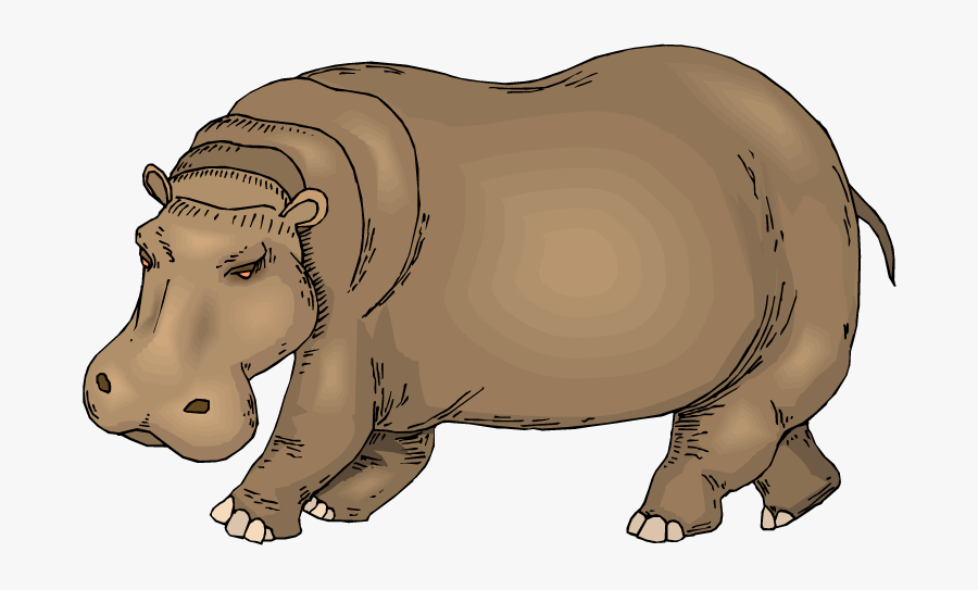 Hippo Clipart - Hippopotamus Clipart - Flash Card Of Hippopotamus, Transparent Clipart
