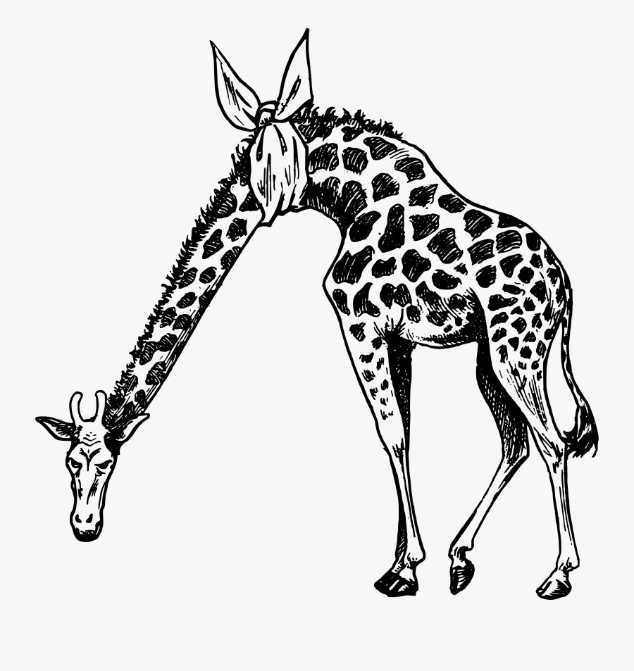 Hurt Giraffe Big Image - Giraffe Icon White .png, Transparent Clipart
