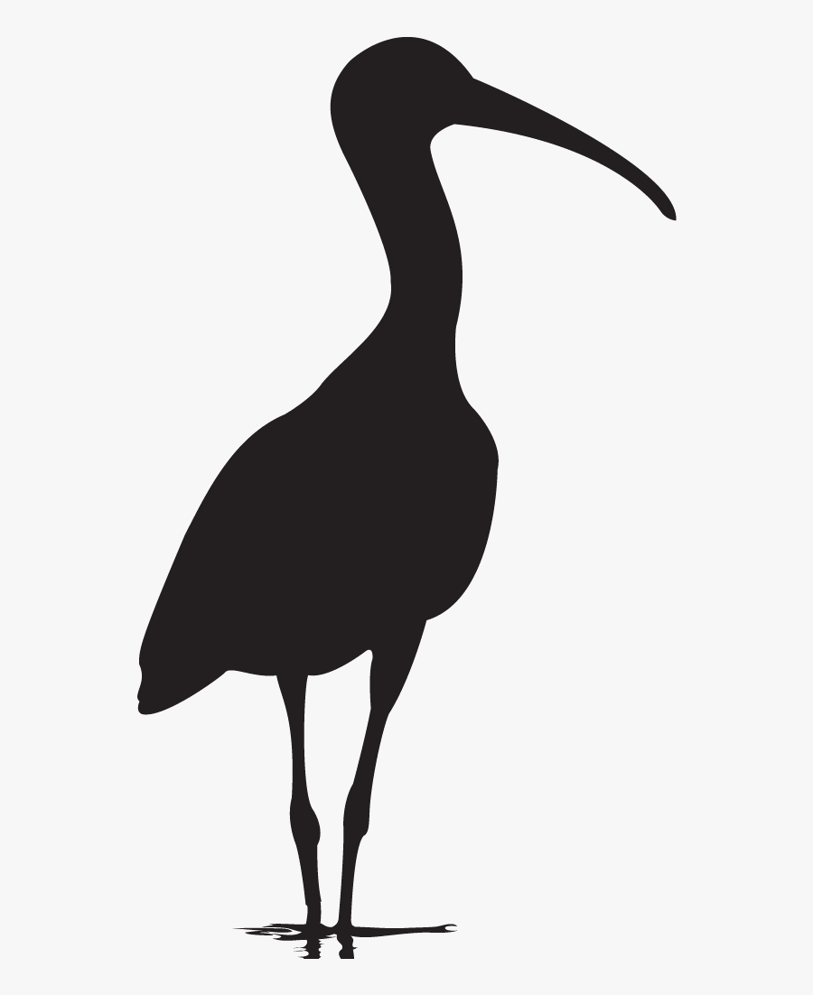 Bird With Long Neck - Ibis Silhouette, Transparent Clipart