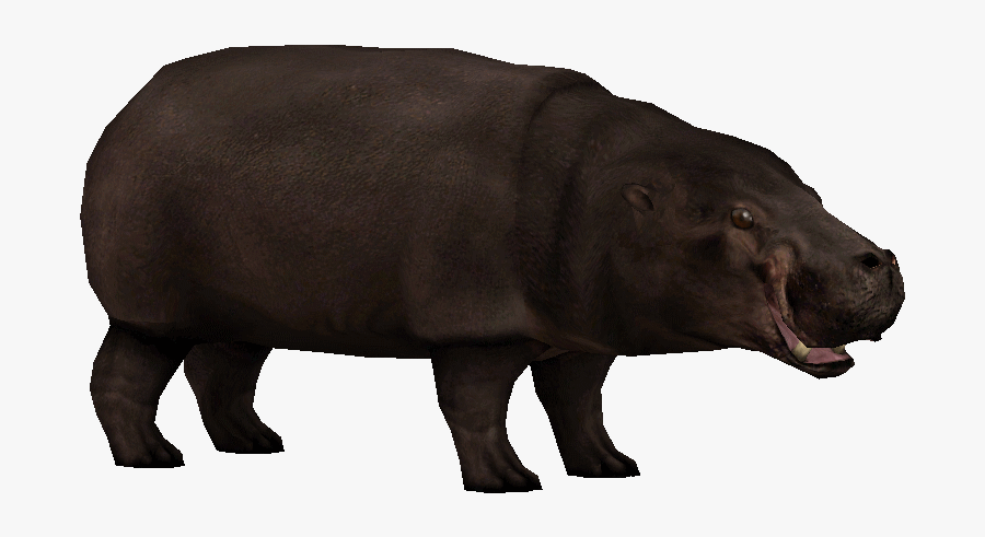 Download Hippo Png Transparent Images Transparent Backgrounds - Pygmy Hippo Zoo Tycoon 2, Transparent Clipart