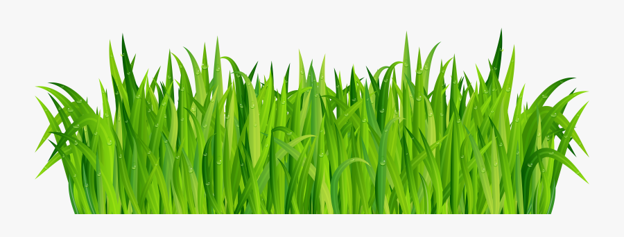 Free Grass Cliparts, Download Free Clip Art, Free Clip - Portable Network Graphics, Transparent Clipart
