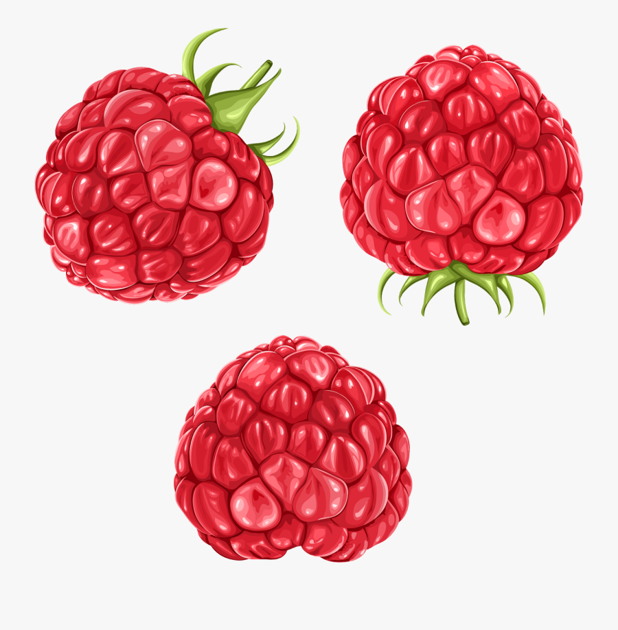 Berry Clipart Raspberry - Raspberries Clipart Transparent Background, Transparent Clipart