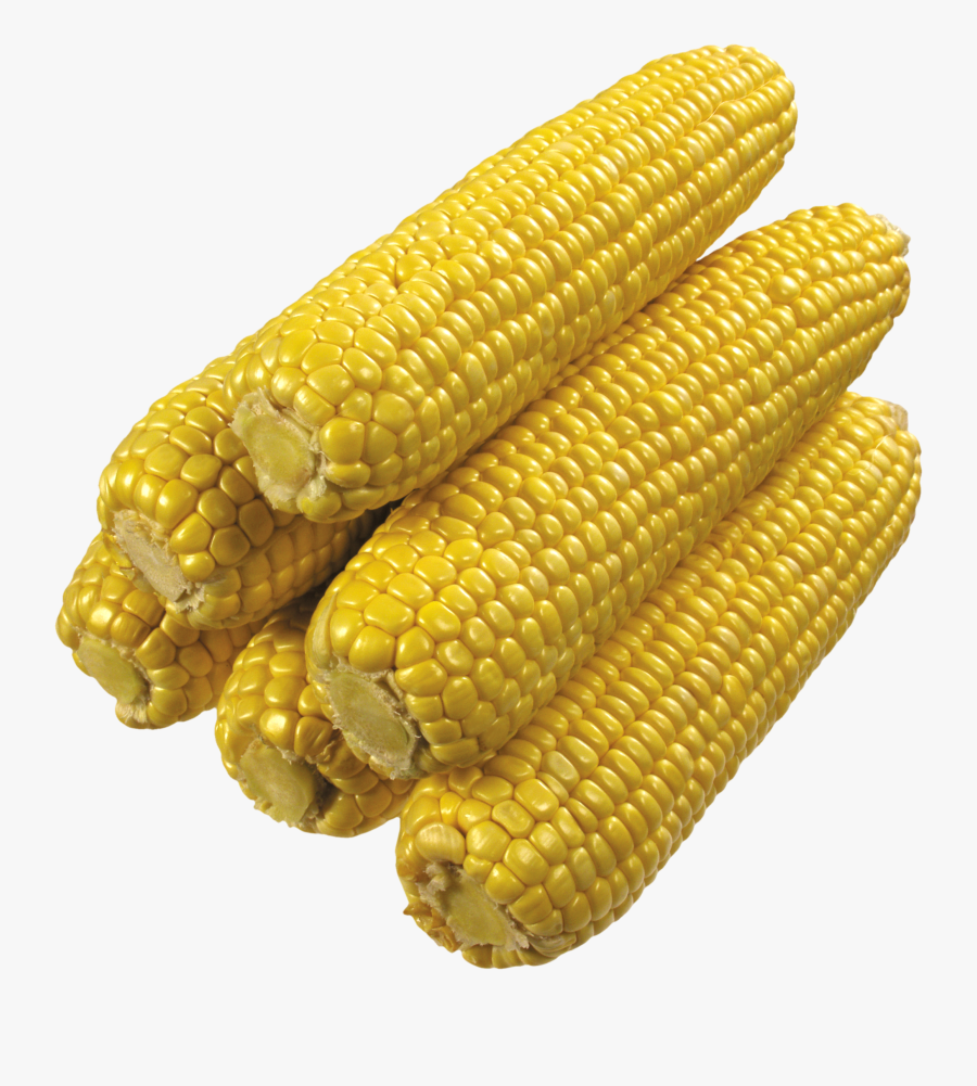Kernel Clipart Corn Seed - Transparent Corn, Transparent Clipart